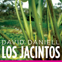 David Daniell: Los Jacintos